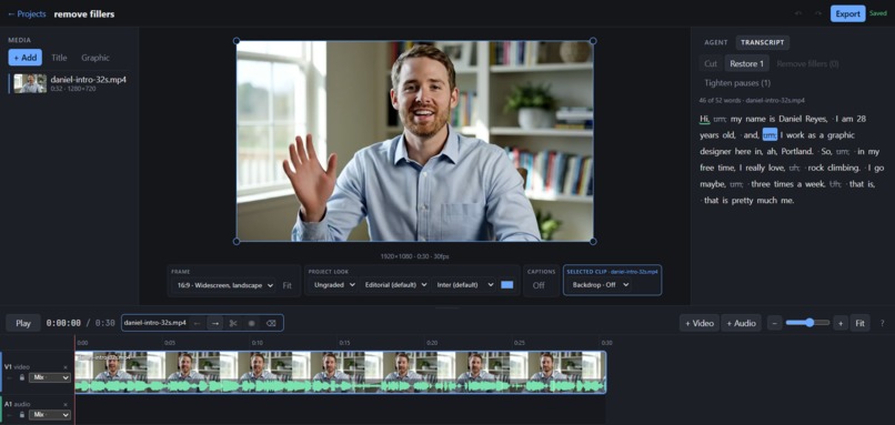 PAVA Powerful Agentic Video Editor – screenshot 4