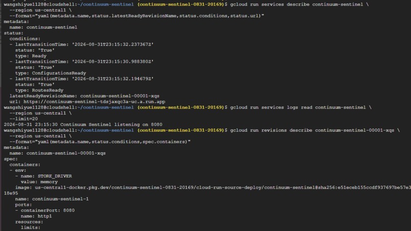 Continuum Sentinel – screenshot 7