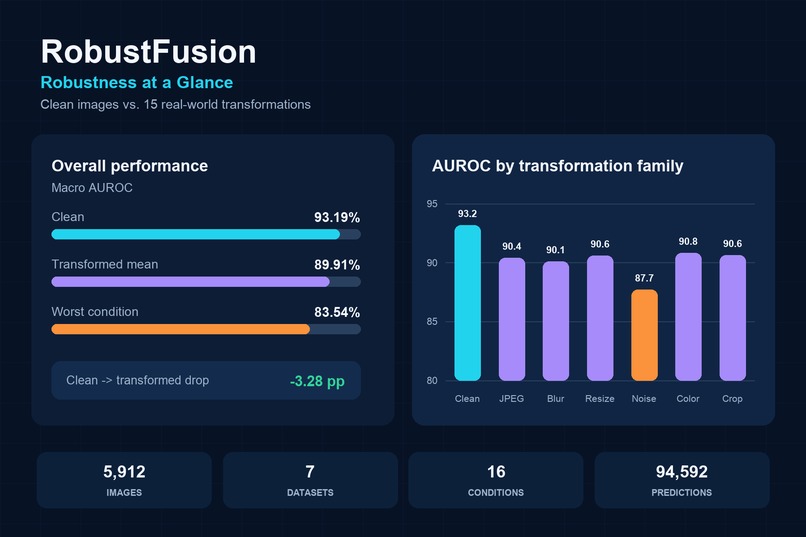 RobustFusion – screenshot 4