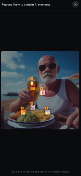 SlopDet – screenshot 3