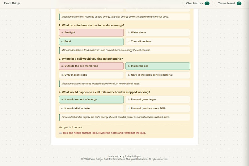 Exam Bridge – screenshot 5
