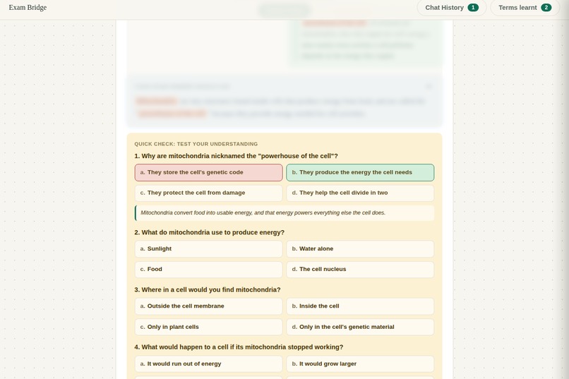 Exam Bridge – screenshot 9