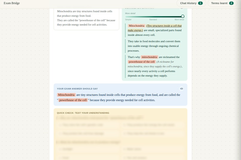 Exam Bridge – screenshot 11