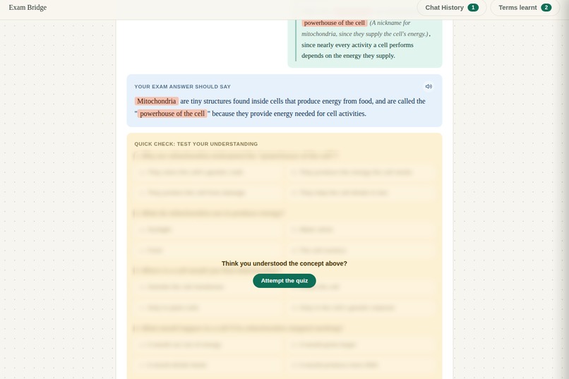 Exam Bridge – screenshot 12