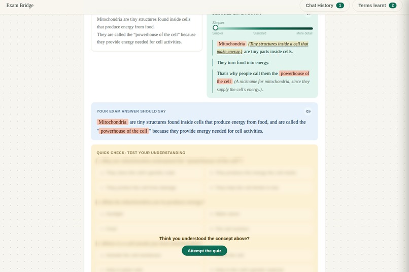 Exam Bridge – screenshot 14