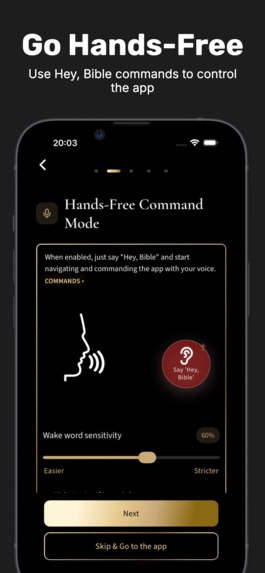 Local: Bible Interpreter  – screenshot 1