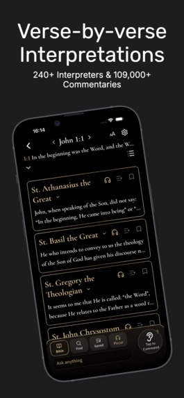Local: Bible Interpreter  – screenshot 2