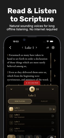 Local: Bible Interpreter  – screenshot 4