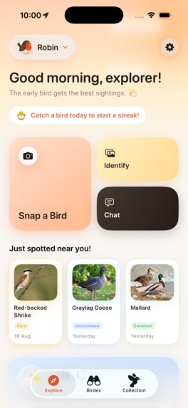 Birdwatching with Robin – screenshot 1