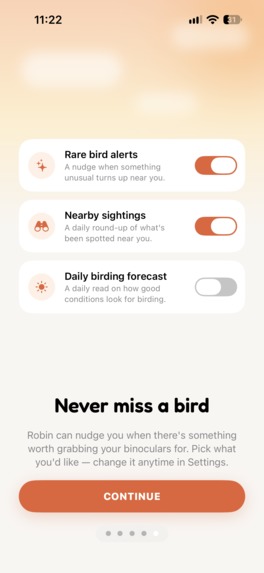 Birdwatching with Robin – screenshot 3