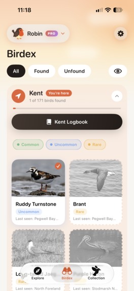 Birdwatching with Robin – screenshot 4