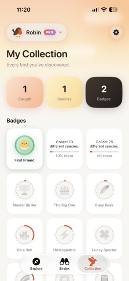 Birdwatching with Robin – screenshot 6