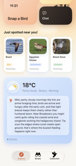 Birdwatching with Robin – screenshot 8