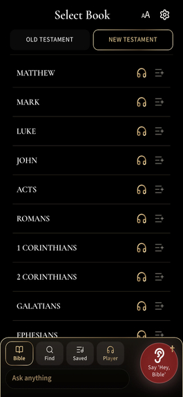 Local: Bible Interpreter  – screenshot 9