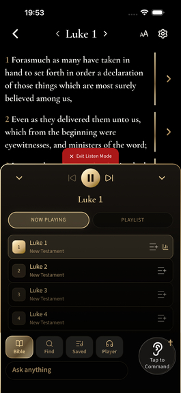 Local: Bible Interpreter  – screenshot 10