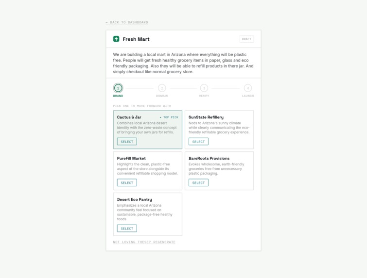 Domain Launch Assistant – screenshot 3