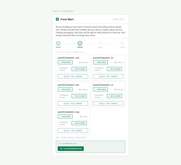 Domain Launch Assistant – screenshot 4