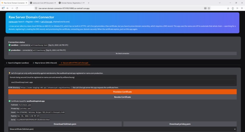 Raw Server Domain Connector – screenshot 4