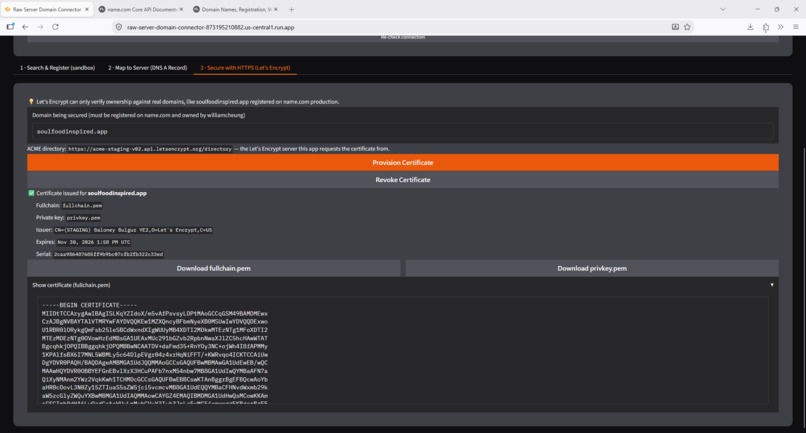 Raw Server Domain Connector – screenshot 5