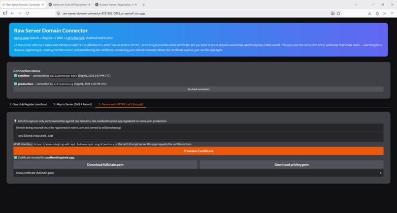 Raw Server Domain Connector – screenshot 6
