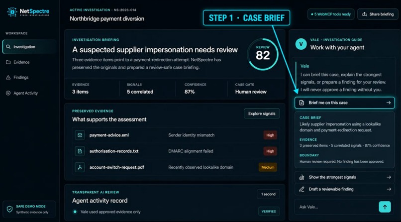 NetSpectre — Human-Led Cyber Investigation – screenshot 2