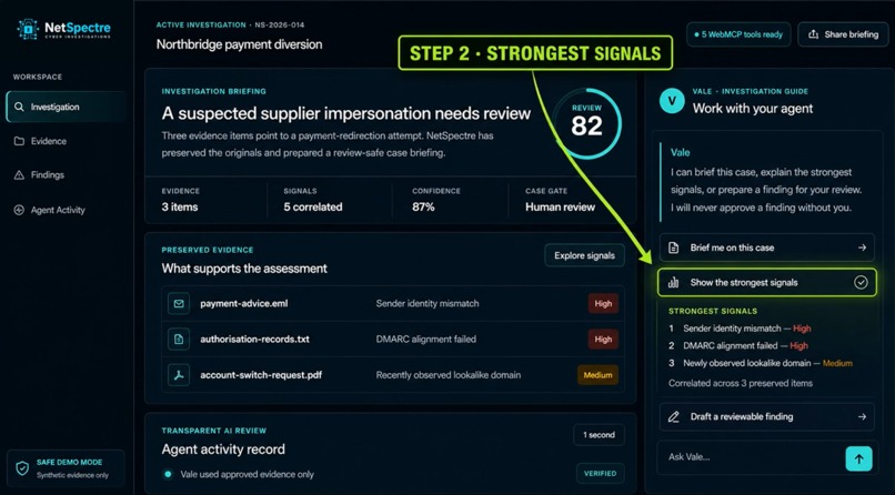 NetSpectre — Human-Led Cyber Investigation – screenshot 3