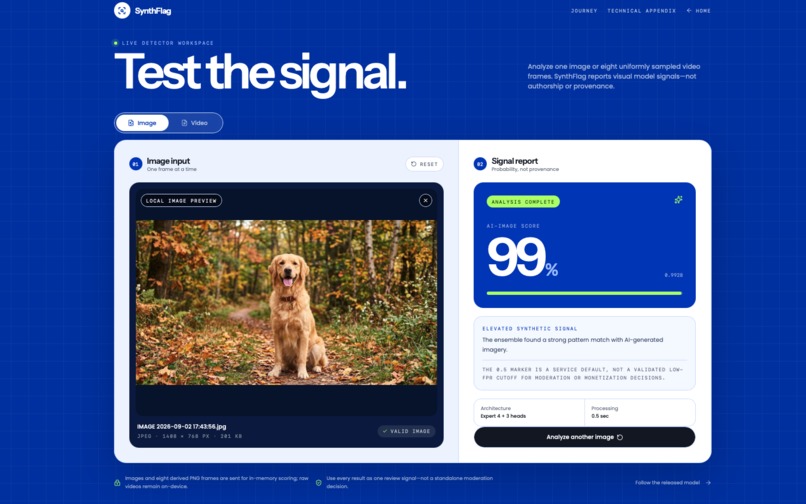AIGC: SynthFlag – screenshot 1