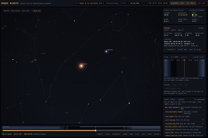Roque Nights – screenshot 2