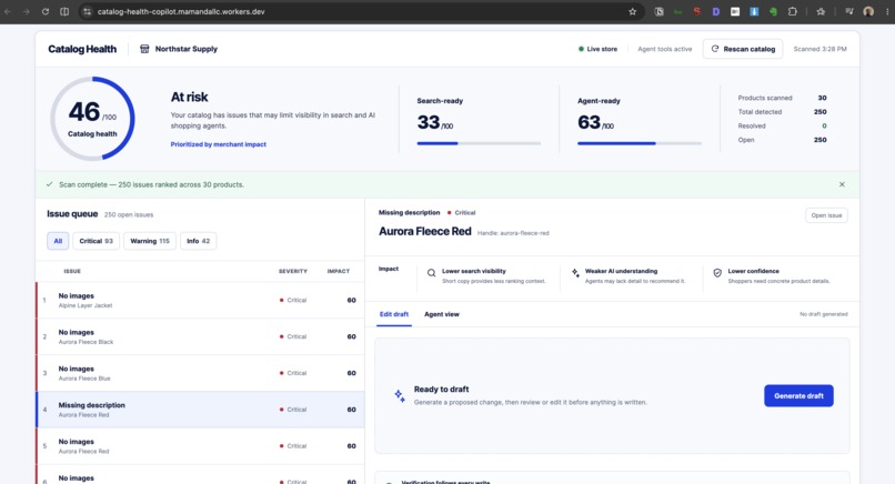 Shopify Catalog Health Copilot – screenshot 1