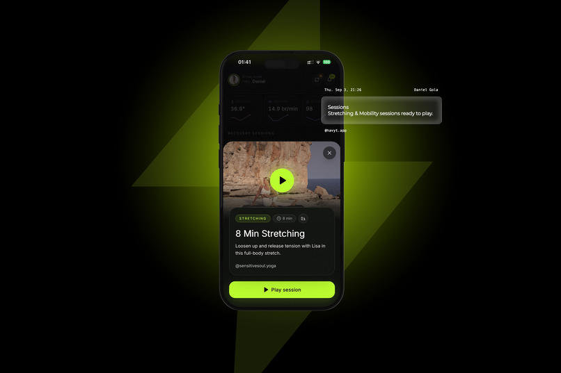 HAVYT – screenshot 11
