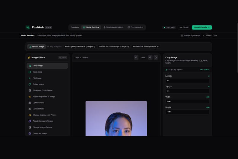 PixelMesh: WebMCP Image Studio – screenshot 8