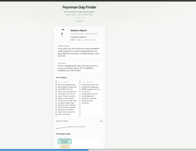 Feynman AI – screenshot 5