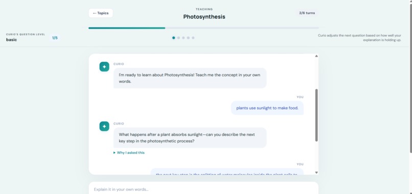 Curio AI – screenshot 4