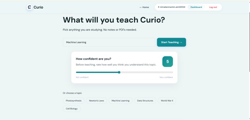 Curio AI – screenshot 3