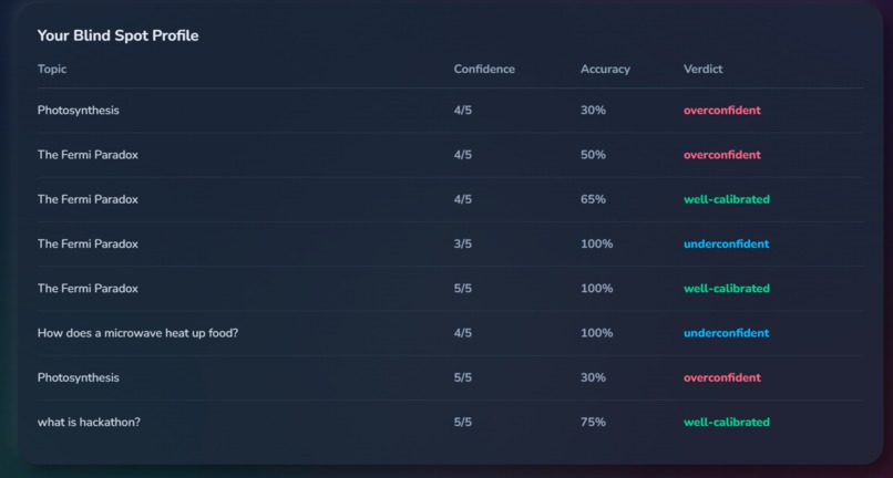 Blind Spot: AI Learning & Competence Calibrator  – screenshot 9