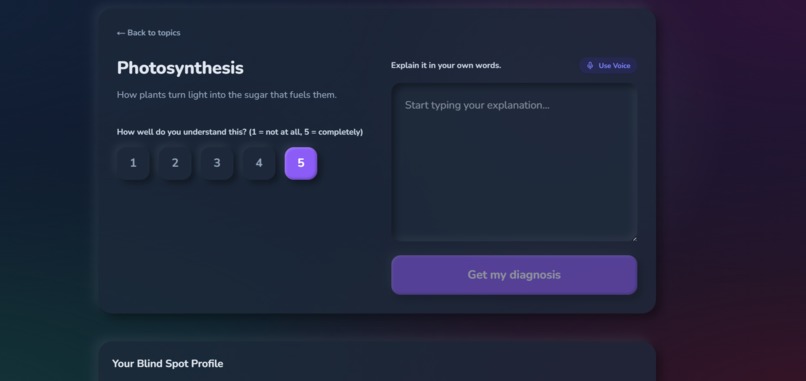 Blind Spot: AI Learning & Competence Calibrator  – screenshot 3