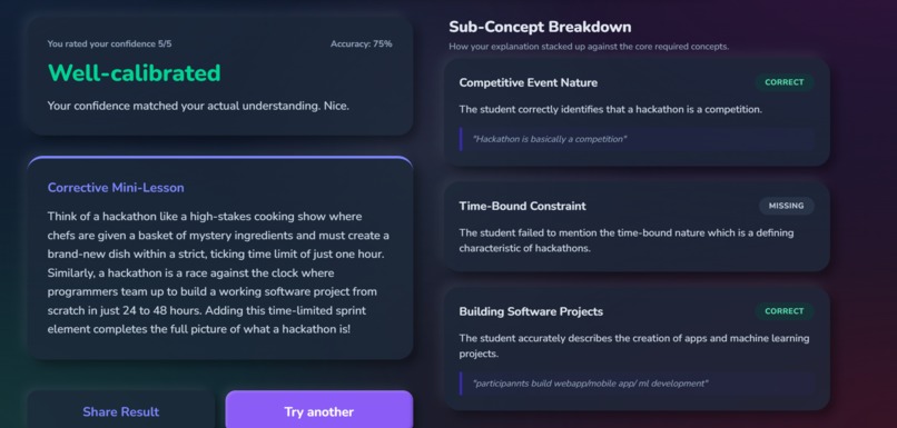 Blind Spot: AI Learning & Competence Calibrator  – screenshot 7