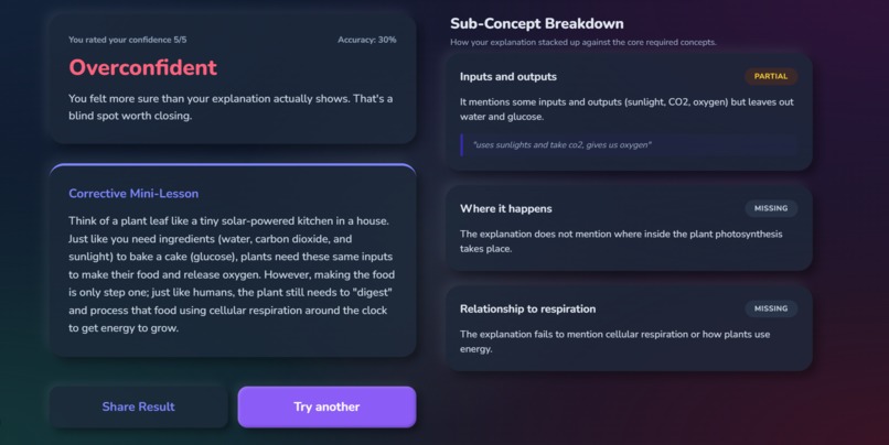 Blind Spot: AI Learning & Competence Calibrator  – screenshot 4