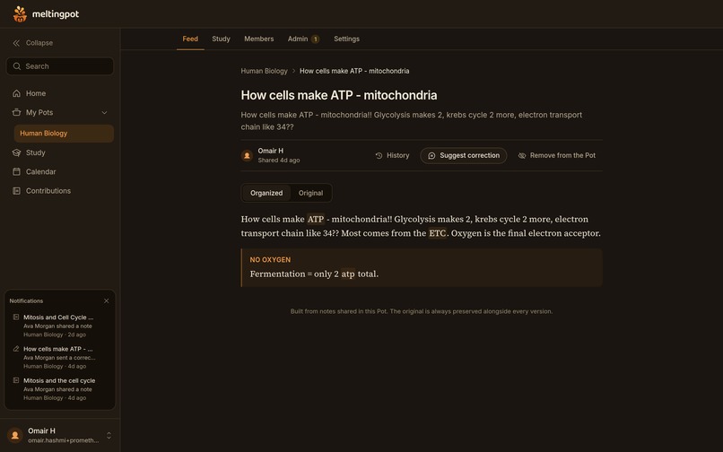 Meltingpot – screenshot 5
