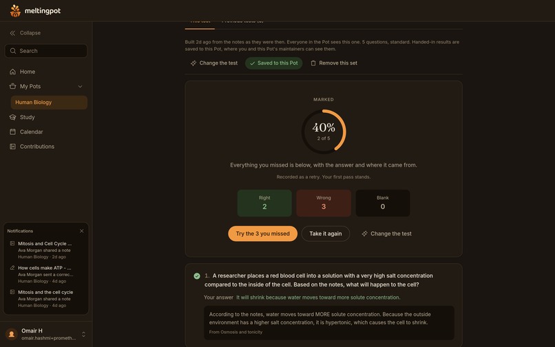 Meltingpot – screenshot 8