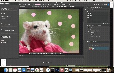 VerifyHere – screenshot 3