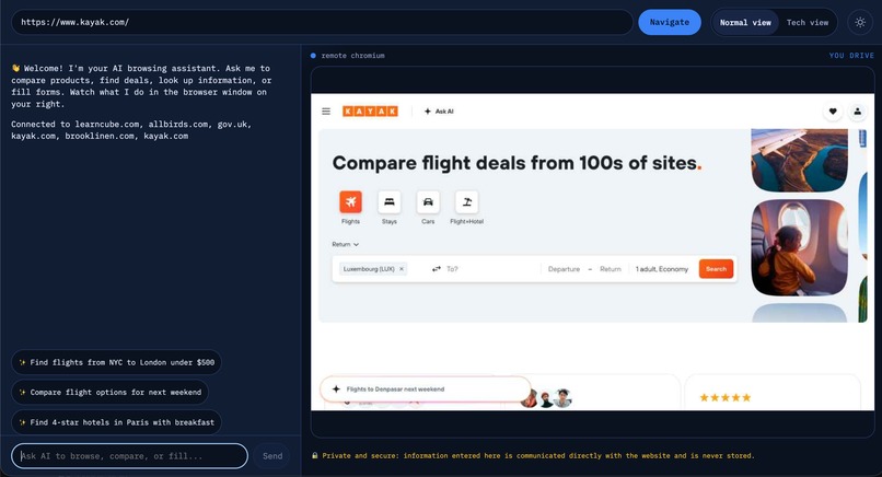 BrowserMatic – screenshot 1