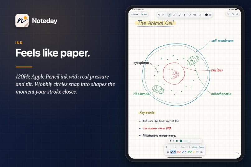 Noteday: Notes, PDF & Notebook – screenshot 1