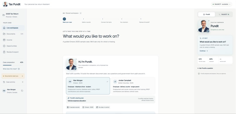 Tax Pundit – screenshot 2