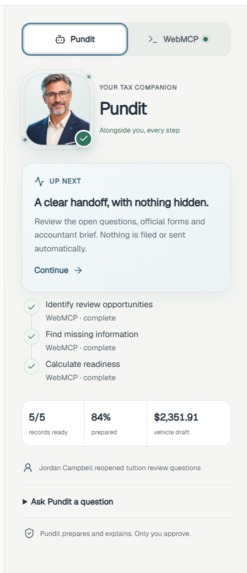 Tax Pundit – screenshot 4