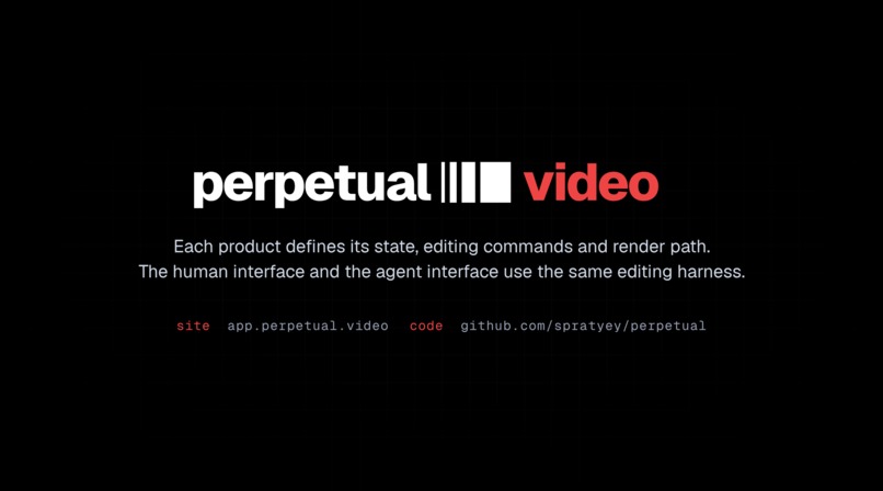 Perpetual Video – screenshot 2