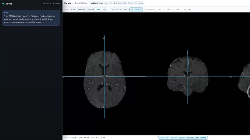 Faraday – screenshot 1