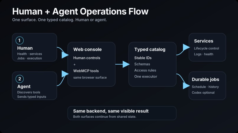 Agent WebMCP – screenshot 13