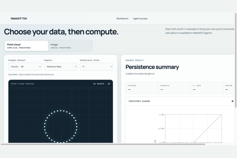 WebMCP TDA – screenshot 1