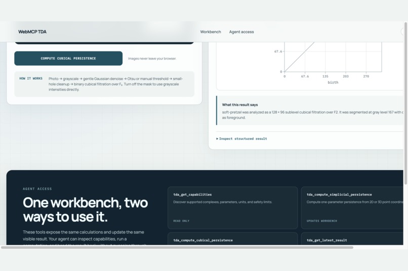 WebMCP TDA – screenshot 2
